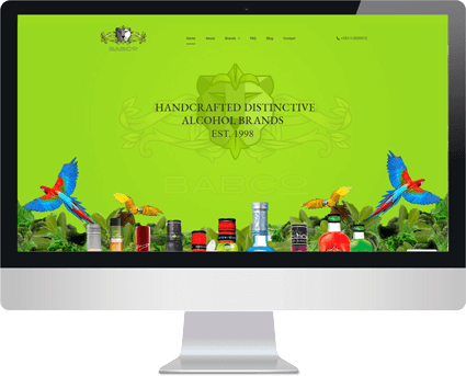 website in screen